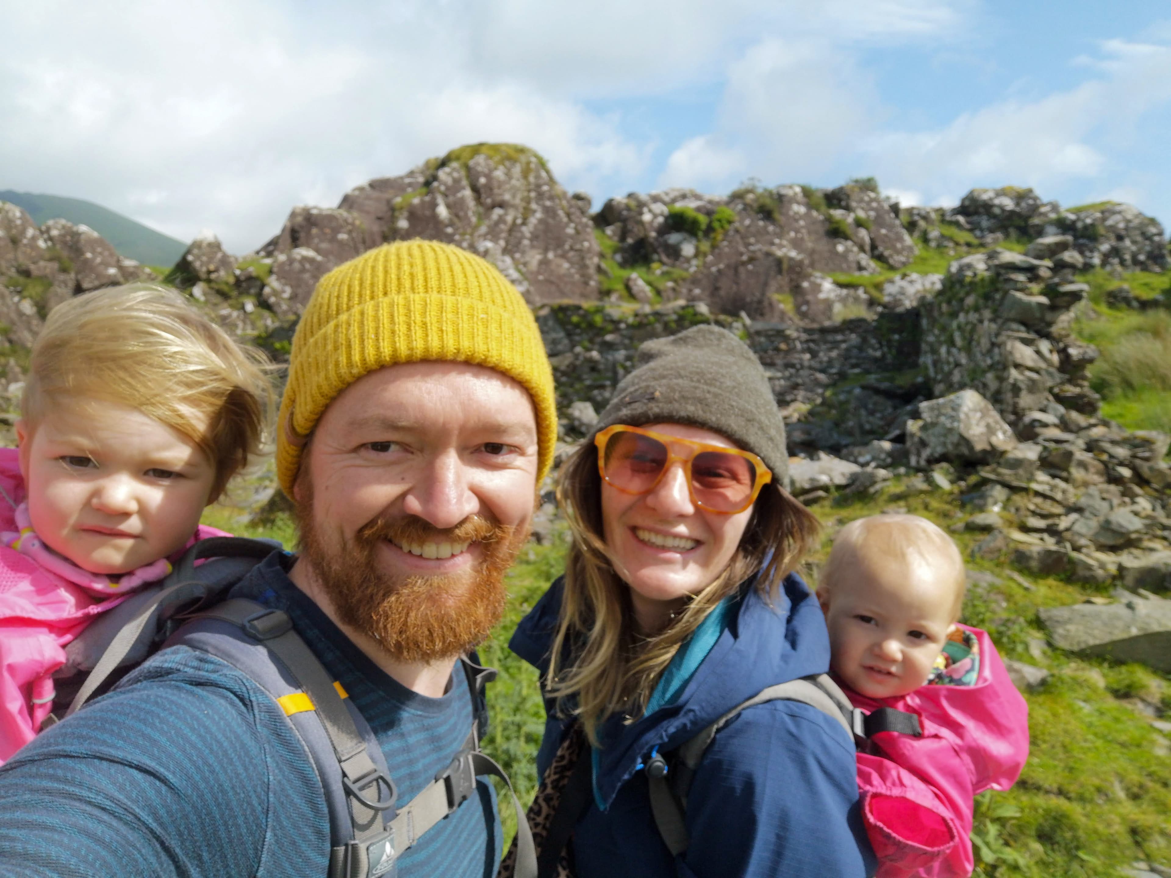 The StallSync family