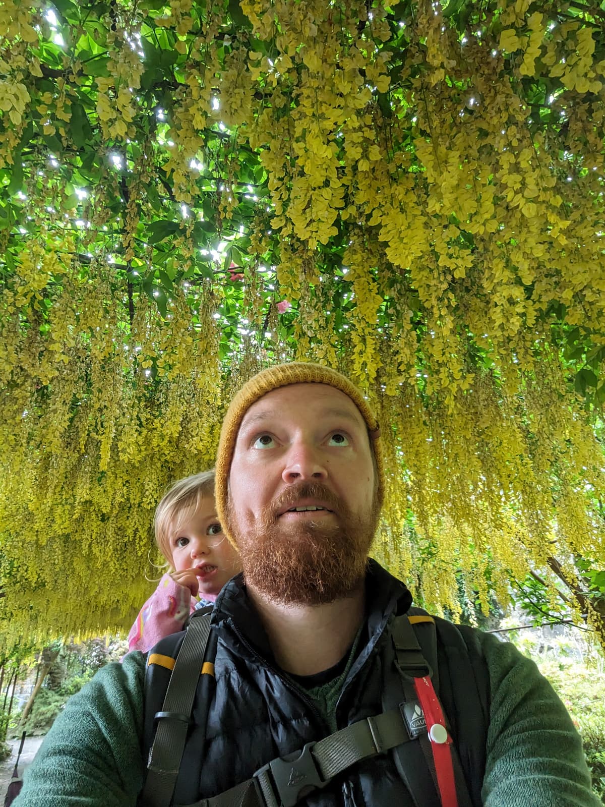 Founder of StallSync